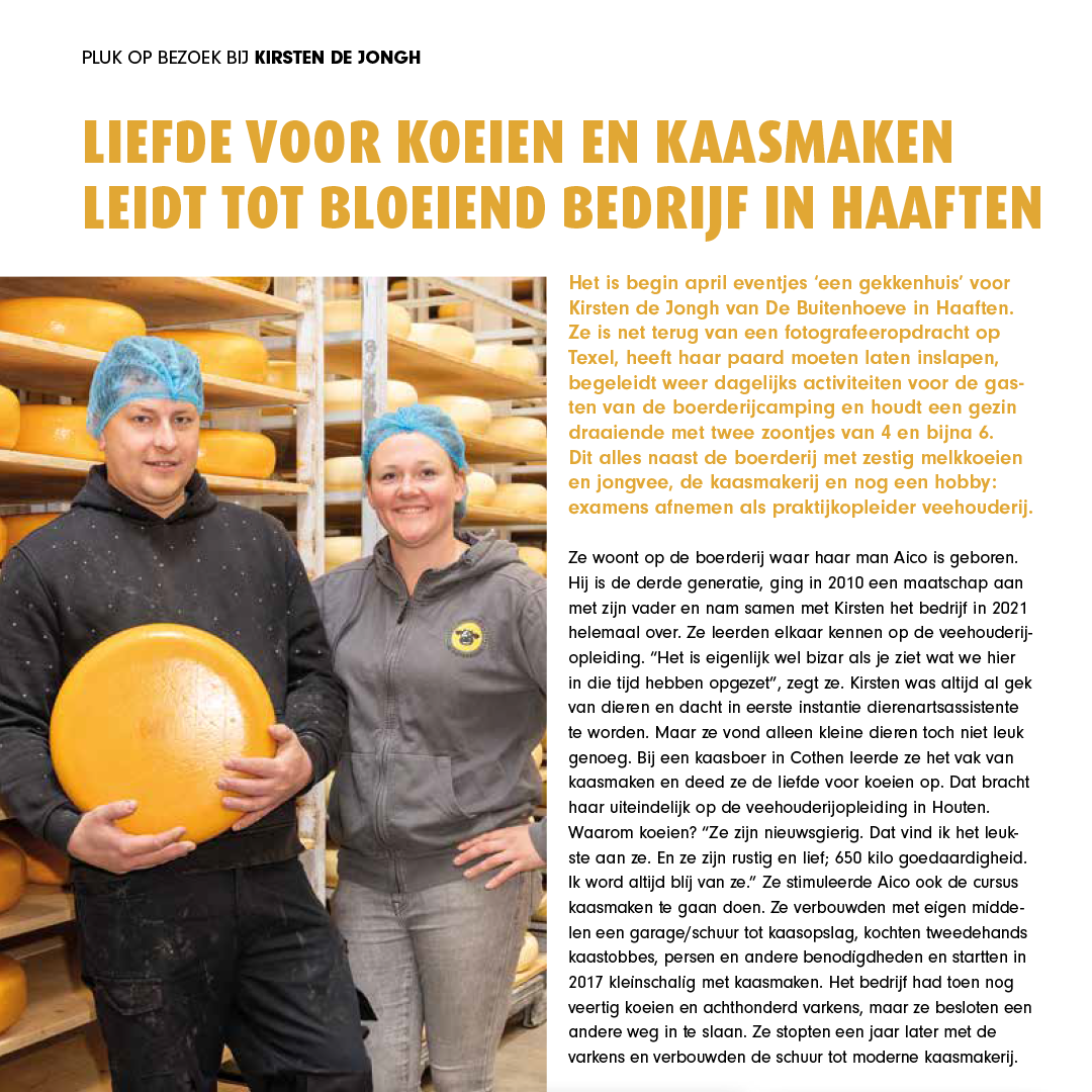 website pluk 8 5