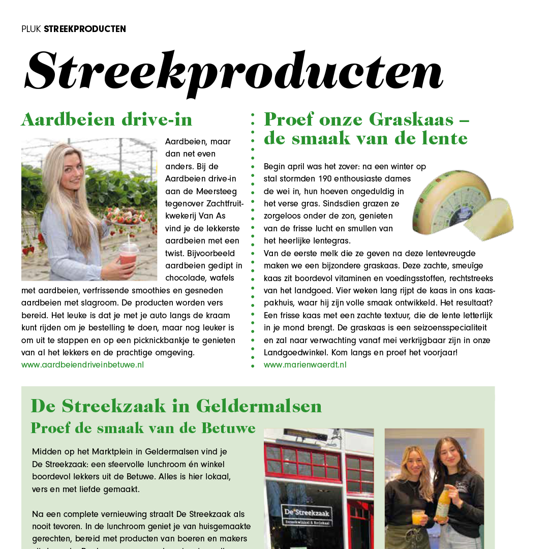 website pluk 8 6