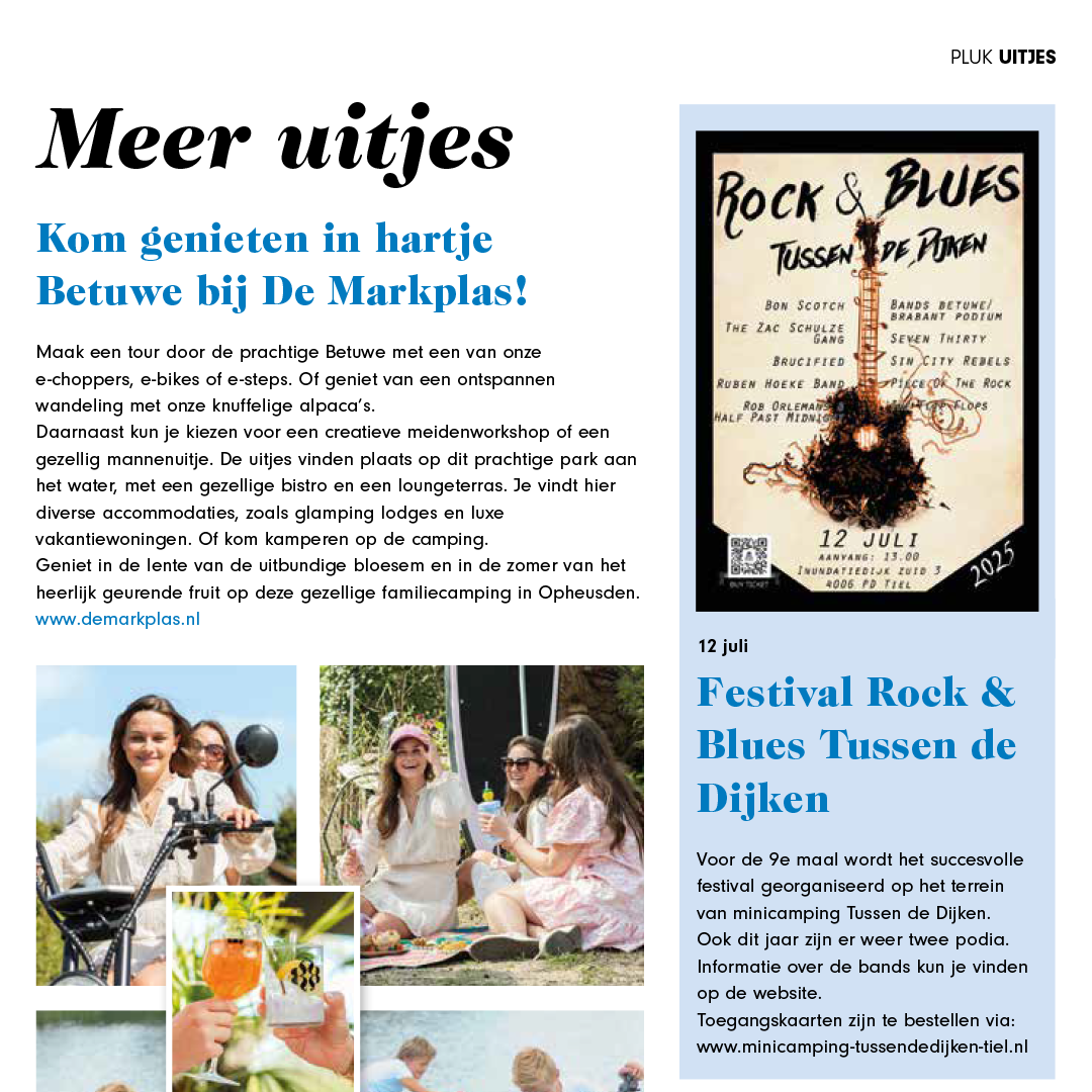 website pluk 8 7